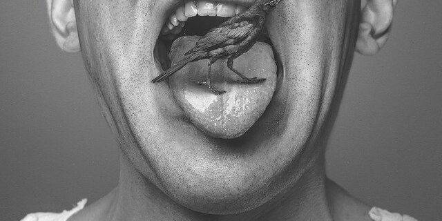 Madárka egy nyelven Madárka egy nyelven