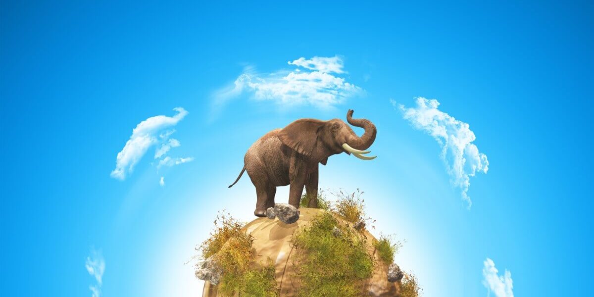 Elefánt és elefántcsont