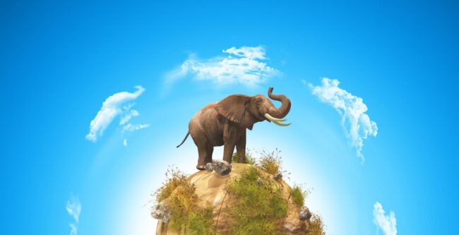 Elefánt és elefántcsont