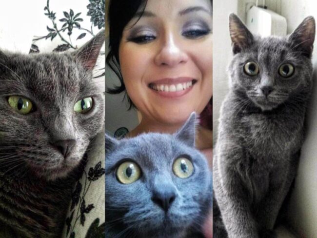 Munkatársunk és az állatok világnapja