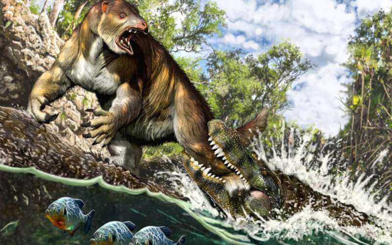 Legerősebb állkapocs