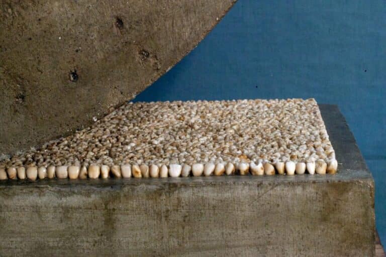 Yoan Capote: Stressz (in memoriam)