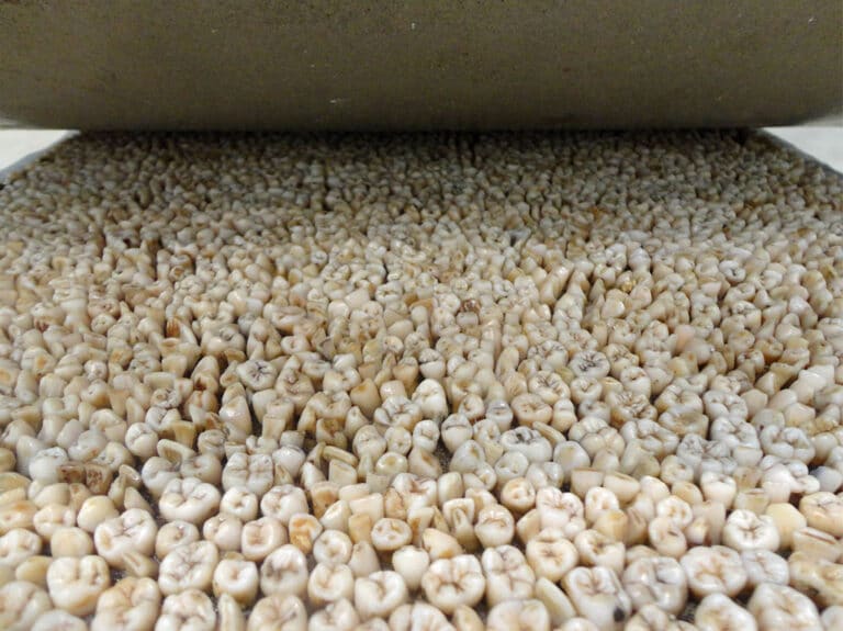 Yoan Capote: Stressz (in memoriam)